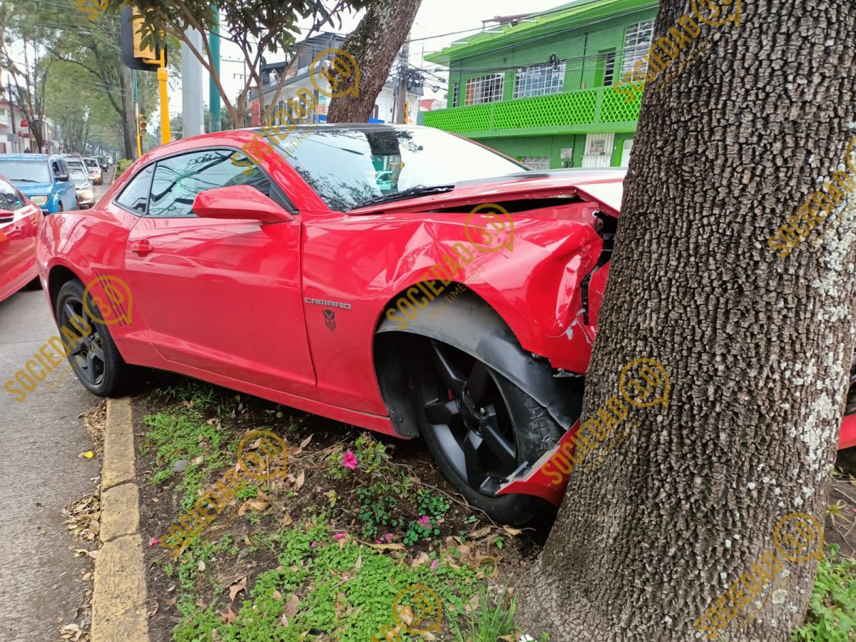 Camaro se impacta contra árbol en Avenida de las Américas - Sociedad 