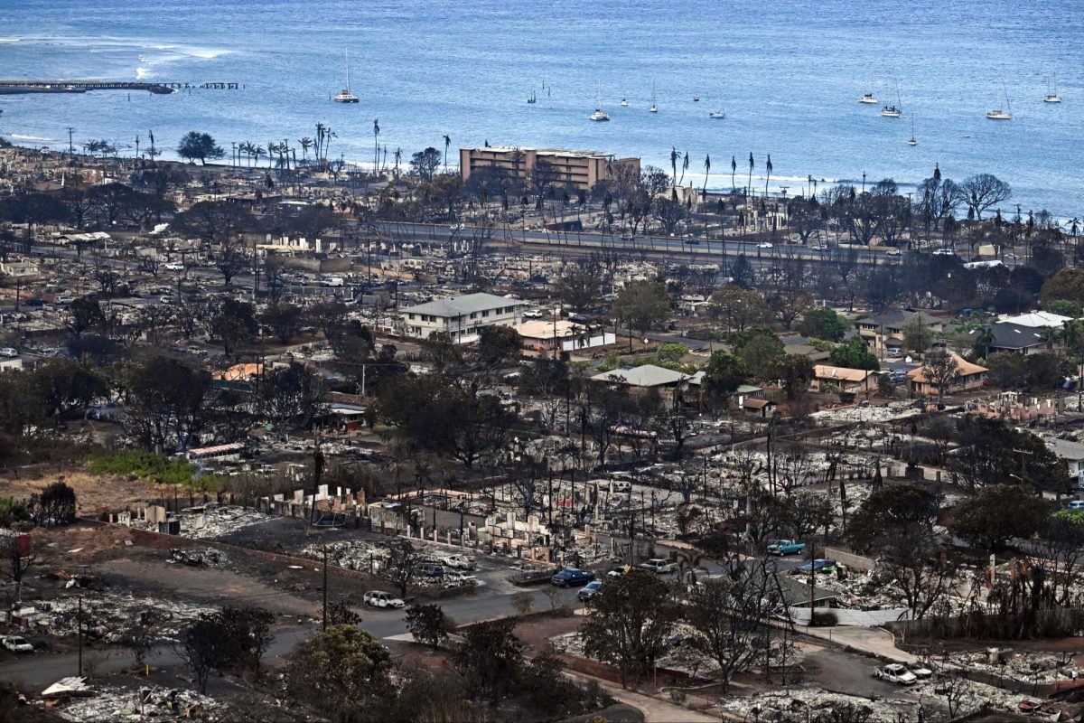 Incendios En Maui Suman Muertos Sociedad